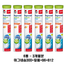 도펠헤르츠 발포미타민 마그네슘300 + 칼륨 + 비타민(B6+B12) 드링크용 (3개월분)