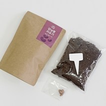 기타 바보사랑[마이플랜트]아이농부 강낭콩 봉투화분 키트 마이플랜트, 강낭콩봉투화분키트