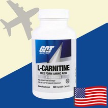 GAT 지에이티 L카르니틴 엘카르니틴 타르트레이트 주석산염 500mg 60캡슐