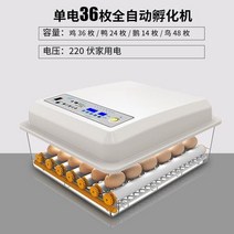 부화기 입문용 2021년 신상품 조류 자동 부화 병아리 계란부화기 36란 실험, 18. 계란부화기 36란