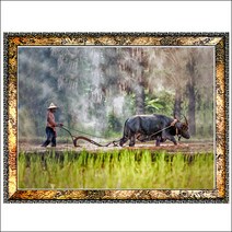 드림하우스 말사진