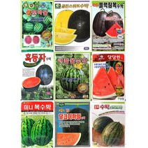 수박씨앗모음 애플수박씨앗 망고수박씨앗 복수박씨앗 미니수박씨앗, 15.삼복꿀수박200립