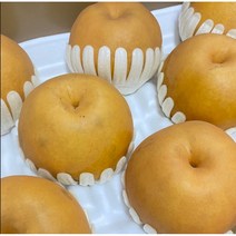 프리미엄 나주 배, 가정용, 5kg (8-10과)