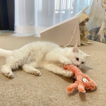 고양이 흐리멍텅 인형 장난감 바스락 캣닢 캣잎 캣잇 캣닙 깨무는 아기 입질 이갈이 새끼, 양