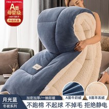 차렵 이불 극세사 푹신한 경량 가을 겨울 구스 양털 모텔 침구 호텔 이부자리 거위털