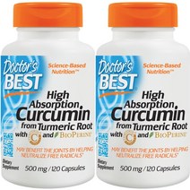 닥터스베스트 하이 앱솔션 커큐민 500mg 캡슐, 120개입, 2개, 120정