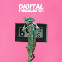 파충류 온도계 온습도계 습도계 디지털 도마뱀 전자 사육장 거북이 양서류 신생아 아기방, 상품선택, 화이트