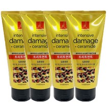 [트윈스몰] 엘라스틴 모로칸 아르간 오일 집중영양 트리트먼트300ml, 300ml, 4개