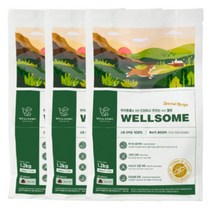 웰썸 곤충사료 1.2kg 3.6kg 그레인프리 강아지 아토피 인섹트 눈물 관절 피부 사료, 웰썸 2.4kg + 600g + 우리집상전 사은품
