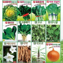 각종 쌈채소 상추 치커리 나물 약초 200종 씨앗모음 씨 종자, G04더덕