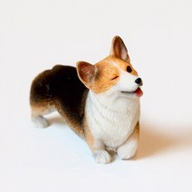 옆동네몰 웰시코기 강아지 미니어처, 윙크 - 블랙