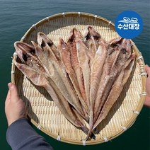 국내산 손질 양태 장대 33-35cm내외 (특대) 3마리 해풍건조 제수용생선 구이 매운탕 찜용, 국내산 손질 양태(장대) 특대 3미