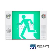 비상유도등 피난 유도등 피난구 비상구 음성점멸유도등 대형 (20701), 녹색, 1개