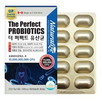 프로바이오틱스퍼펙트유산균60캡슐/신프로 프리유산균 락토바실러스, 510mg