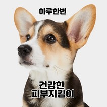 재그코퍼레이션 강아지 고양이 반려동물 피부병 피부염 피부보습 피부딱지 턱드름 각질 아토피 보습 피지제거 진정 탈취제거 영양제 미스트, 1개, 200ml