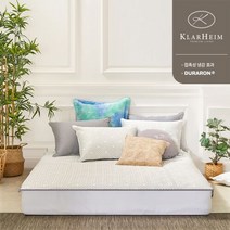 클라르하임 쿨포터 시원한 냉감패드 Q