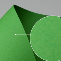 고급A4용지 A포용지 인쇄 용지 초록색 컬러 색지 25매