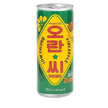 동아오츠카 오란씨 파인애플 250ml, 24개