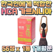 식전1알 보이차 추출물 가르시니아 에너지 비타민B 중년 남자 아저씨 아랫배 똥배 빼는법 레몬밤 추출물 분말 영양밸런스 근육량 증가 공복감 억제 지방 분해 과식했을때 커팅제
