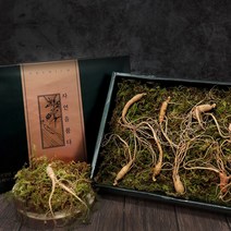 산양삼 자연 산양 산삼 장뇌삼 산삼주 뿌리 먹는법 정품 효능 건강 명절 선물세트 강원도 횡성, 2세트, 5년~6년 총8뿌리