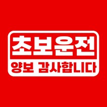 메이튼 스탠다드M 초보운전 스티커 탈부착, 실버