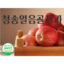 청송얼음골농원 고당도 꿀맛 꿀사과 경북 청송 사과 5kg, 16~17과