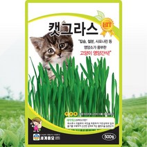캣그라스 씨앗 캣그라스 씨 종자 500립, 단품