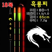 회전찌고무 + 스마트 전자장찌 65cm 18목 흑룡찌 스마트전자찌 민물전자찌 낚시찌 전자찌 고부력 대물찌, BD-1