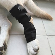 펫츠런 강아지 다리보호대 애견 관절보호대 S (블랙), 상세페이지 참조, 상세페이지 참조, 상세페이지 참조