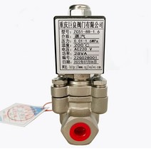 16bar 1.6MPa 2 웨이 고온 스팀 솔레노이드 200 밸브 1/4 3/8 24V 오리피스 8mm SS304 대용량 유량, [03] DN8, [02] 24V, [02] G