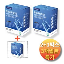 포스트 바이오틱스 프롤린 모유유래 30스틱/17종 혼합유산균 알파, 30스틱, 3박스
