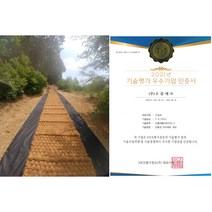 평창동계올림픽 납품 1.0m x 10m 35T 미끄럼방지 야자매트