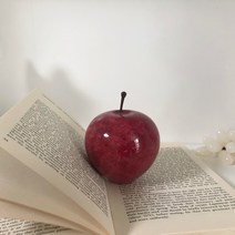 사과문진 오브제 책 애플 페이퍼웨이트, 레드S