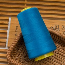 태닝머신 태닝기계 선텐기계 재봉실 길이 3000 야드 40S/2 스레드 폴리에스터 실 멀티 컬러 스풀 재봉, 06 blue