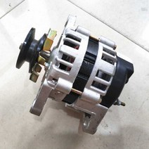 고전력 영구 자석 DC 발전기 모터 2000W 36 48 60 V, 48V2000W 발전기+전압 조정기