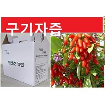 산수유즙 진액 45팩(120ml)/ 산수유 진한엑기스 자연그대로, (2형)구기자45팩, 120ml