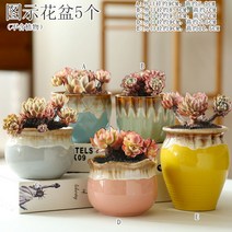 다육화분 다육이 심폴 화분 식물 미니 화분세트, 도자기, 옵션11