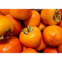 단감 5kg (32-35과) 밀양단감 부유단감 산지발송(OF)