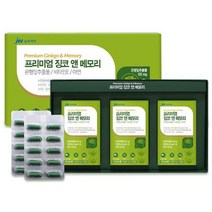 은행잎추출물 혈액순환제, 1개, 90정
