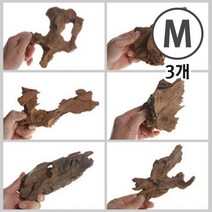맹그로브 유목, 3개