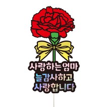 비비드레인 카네이션 케이크토퍼, 121-카네이션(엄마)