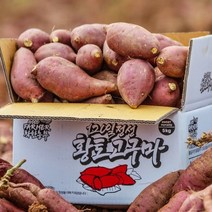 23년 무안 황토 밤고구마 5kg #착한농부 #햇고구마, 소한입 5kg (30-70g이내), 1개