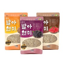 국내산 특허인증 당뇨환자영양식 오디 오미자 울금 당뇨발아현미1kg 3종, 01_오디 발아현미1kg