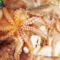 제철 통영 가리비 소라 전복회 개불 깐멍게 해산물외, 1개, 자연산 돌문어500g