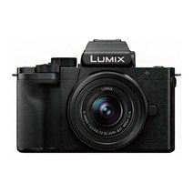 파나소닉 루믹스 LUMIX DC-G100 미러리스 카메라