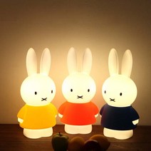 옷입은 미피 수면등_유아 아이방 조명 / 집들이선물 조명, 연두