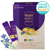 도라지청 배 생강 스틱 100개 도라지즙 배도라지 스틱 배즙 100프로 국산 구증구포 흑도라지 국내산 주스 스틱 효능 추천, 1000g, 5개