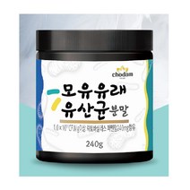 초담식품 신프리바이오틱스 모유유래 유산균 1000억 락토바실러스 퍼멘텀 플란타룸 루테리 유산균 프락토올리고당 요구르트맛 240g