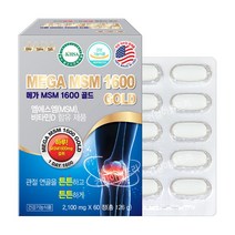 무릎 관절엔 메가 디메틸설폰 MSM 골드1600 60정/보스웰리아 글루코사민, 126g, 1개
