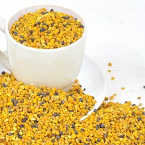 장명식품 스페인산 벌화분, 500g, 2개